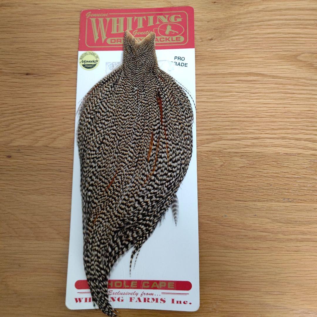 Whitng ホワティングハックルProGred Cape Cree