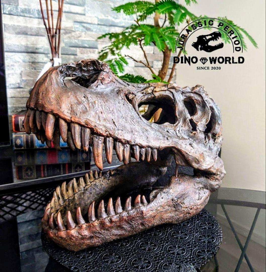 【DINOWORLD】ティラノサウルス 頭骨 化石 ジュラシックパーク