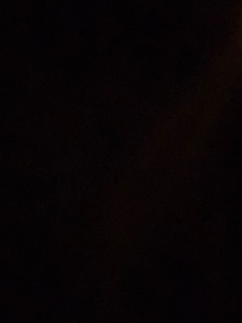 【1回のみ使用】SP SALOMON ビンディング ブーツ