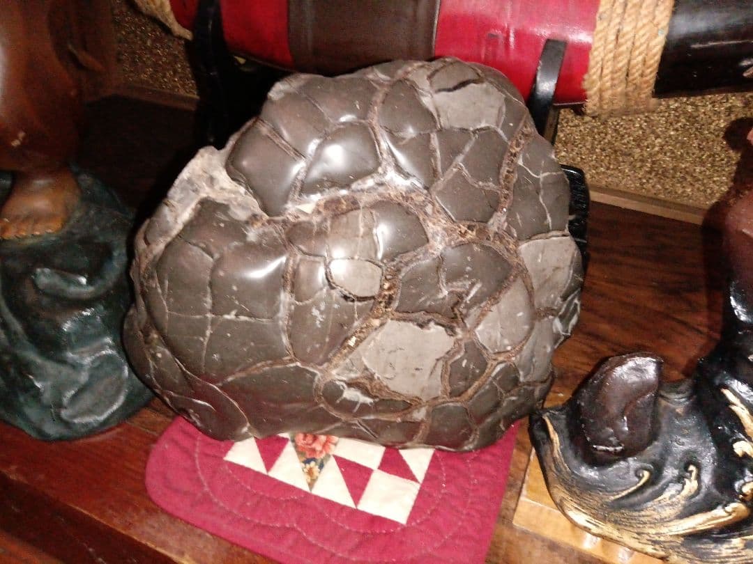 亀甲石【クリーニング済み】今だけ激安　早い者勝ち　おすすめ