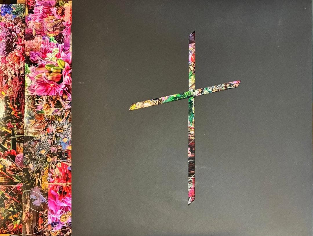 world’s end girlfriend 　レコード