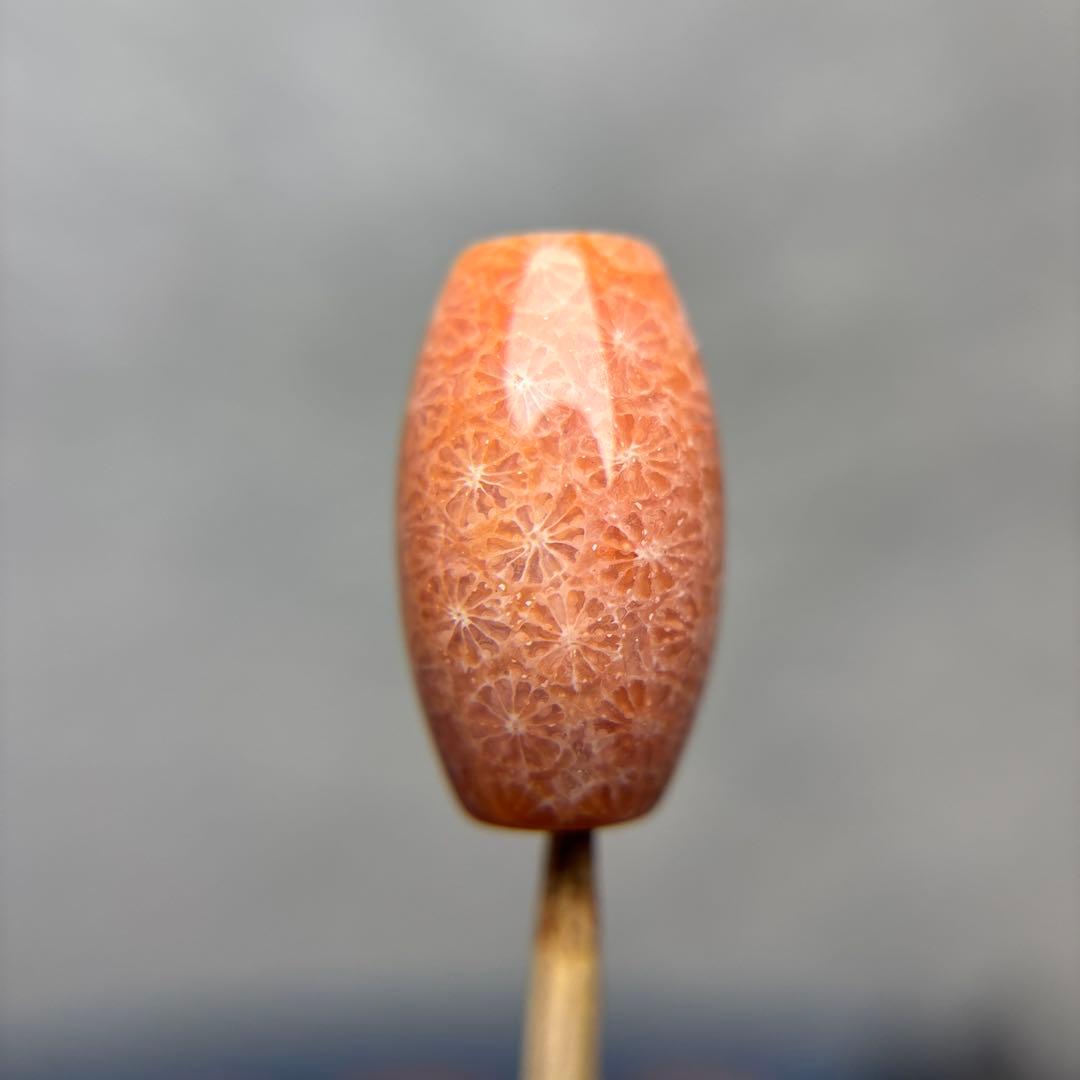 たまきフォッシルコーラル　天珠　1-322