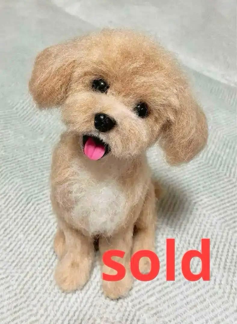 羊毛フェルト　マルプー