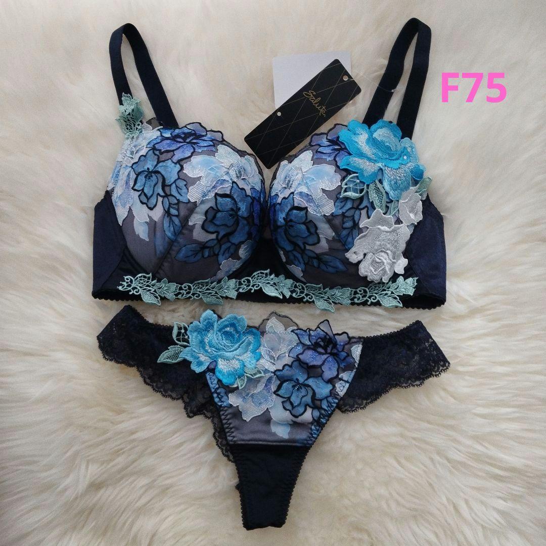 salute　サルート　06G 06グループ　F75　セット　KO