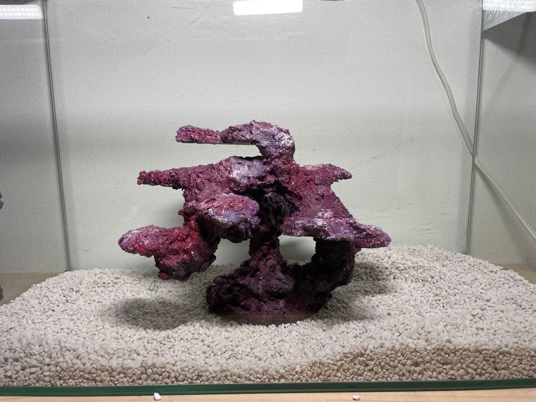 現品在庫SALE！人工ライブロック　SHR24 アク抜き済み安心塗料使用