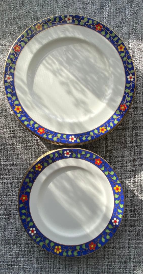 レア　リチャードジノリ　パランツァ　21cm&26.5cm プレース10枚