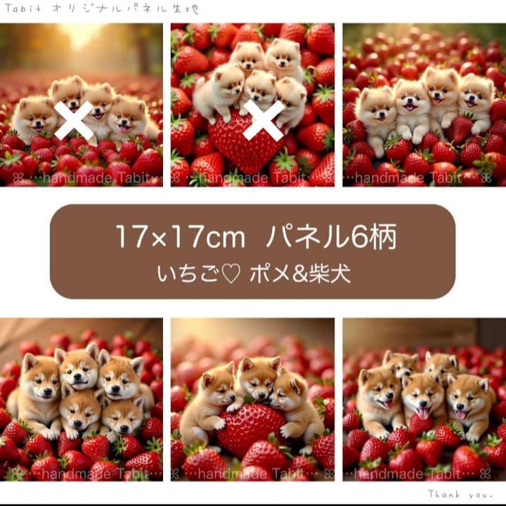 ☆受付☆Tabit様新柄　4種類