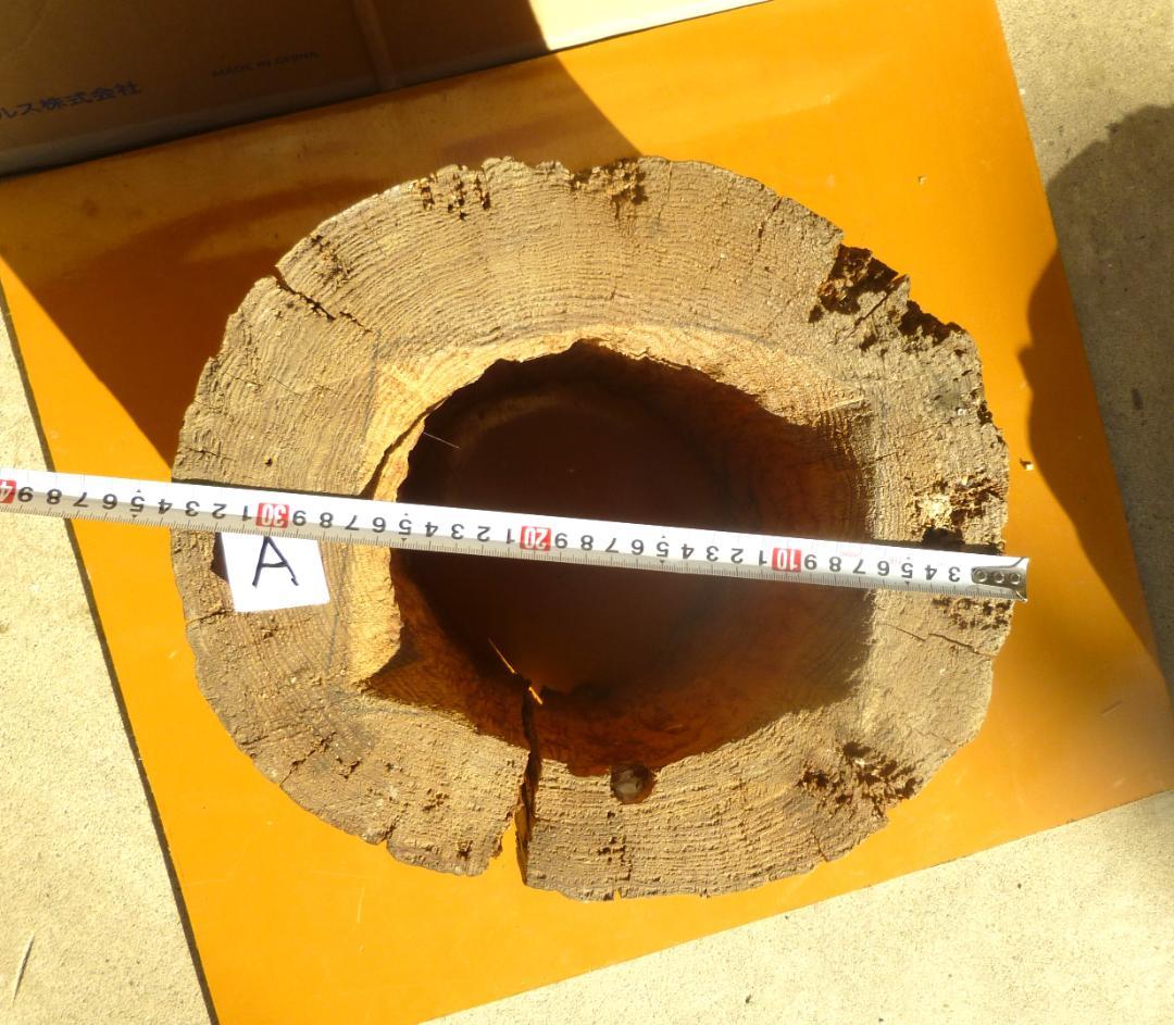 【多群入居実績あり】大寸、杉丸太（A）