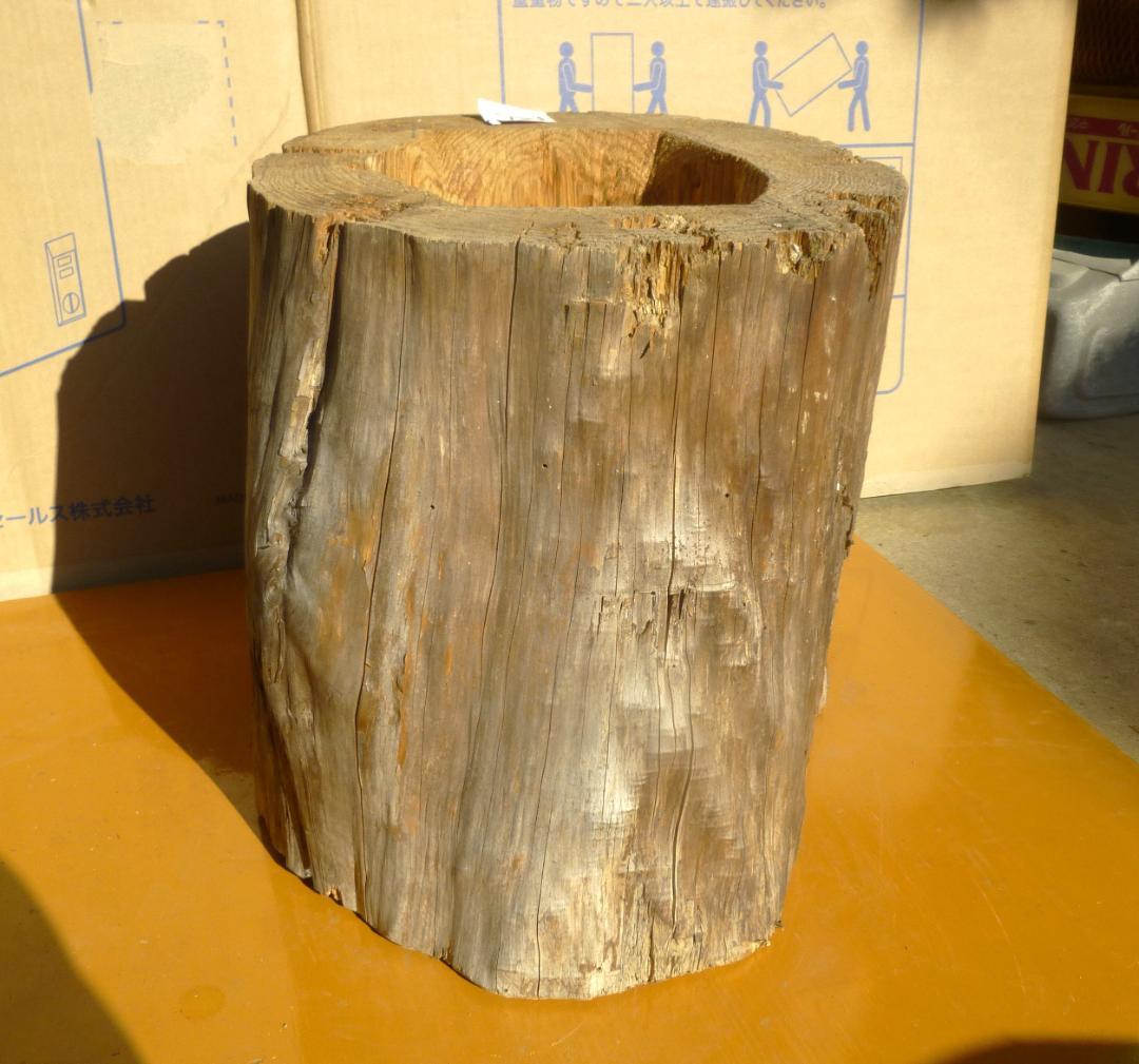 【多群入居実績あり】大寸、杉丸太（A）