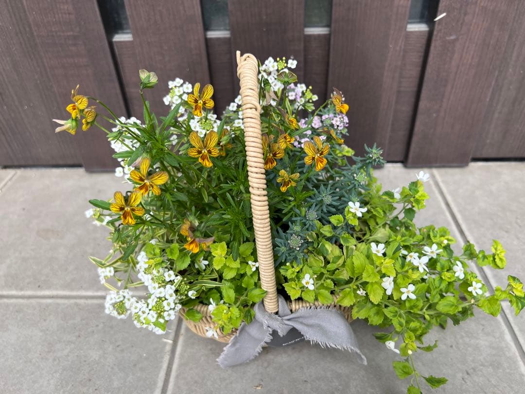 寄せ植え　花■みつばちと花畑