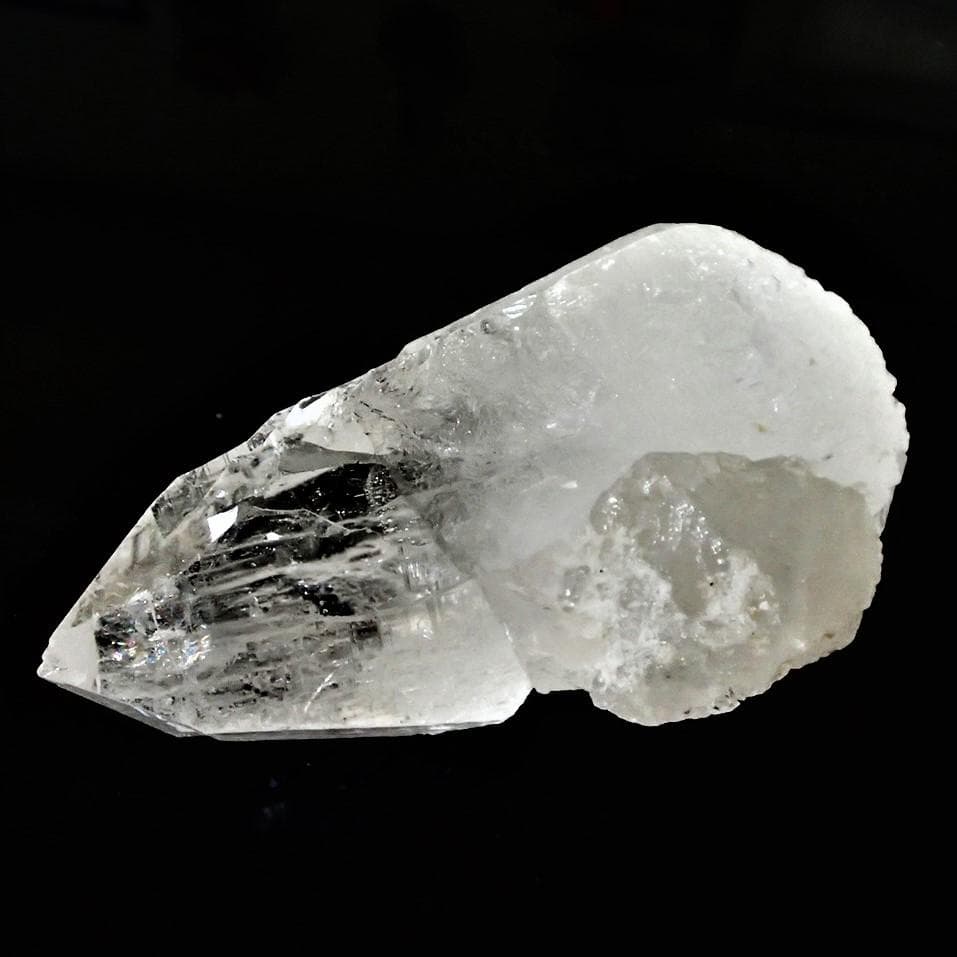 ラパ産ポイント-146-1