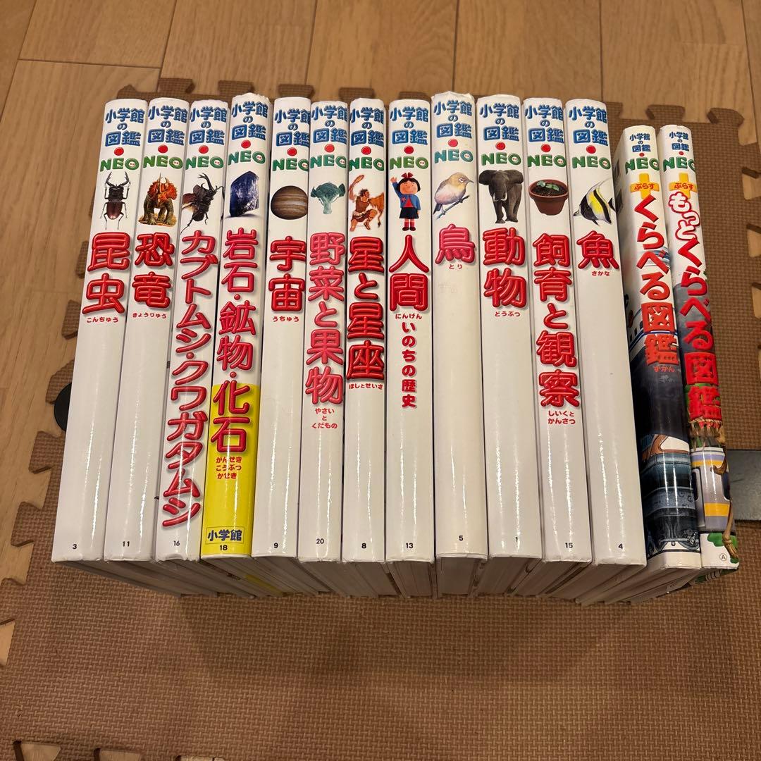 小学館の図鑑NEO 全14巻セット　野菜と果物　魚　宇宙　人間　恐竜　星と星座