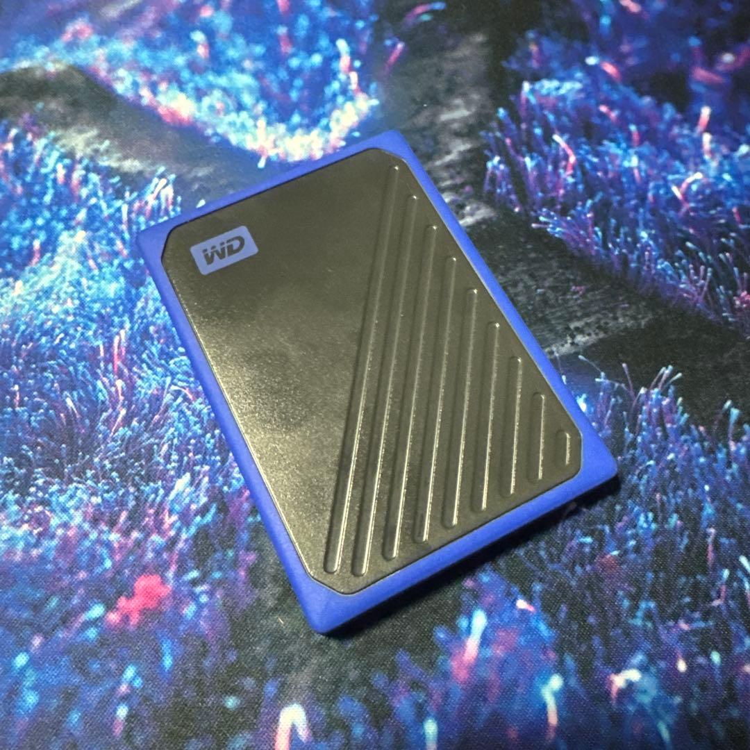 WD ウエスタンデジタル 外付けSSD 1TB