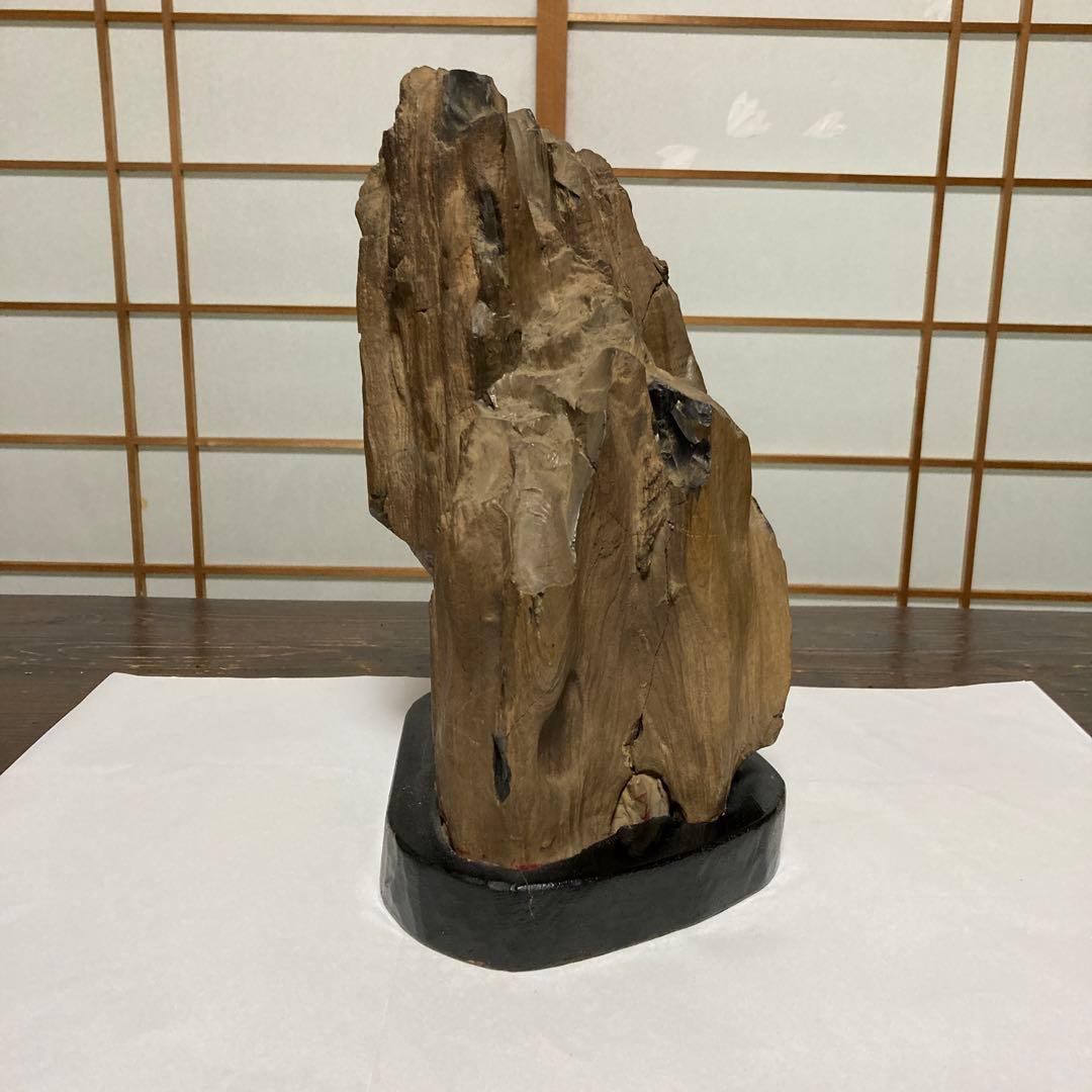 珪化木 木化石 古第三記～中生代 化石 奥能登産 形化木 台付 観賞用 オブジェ