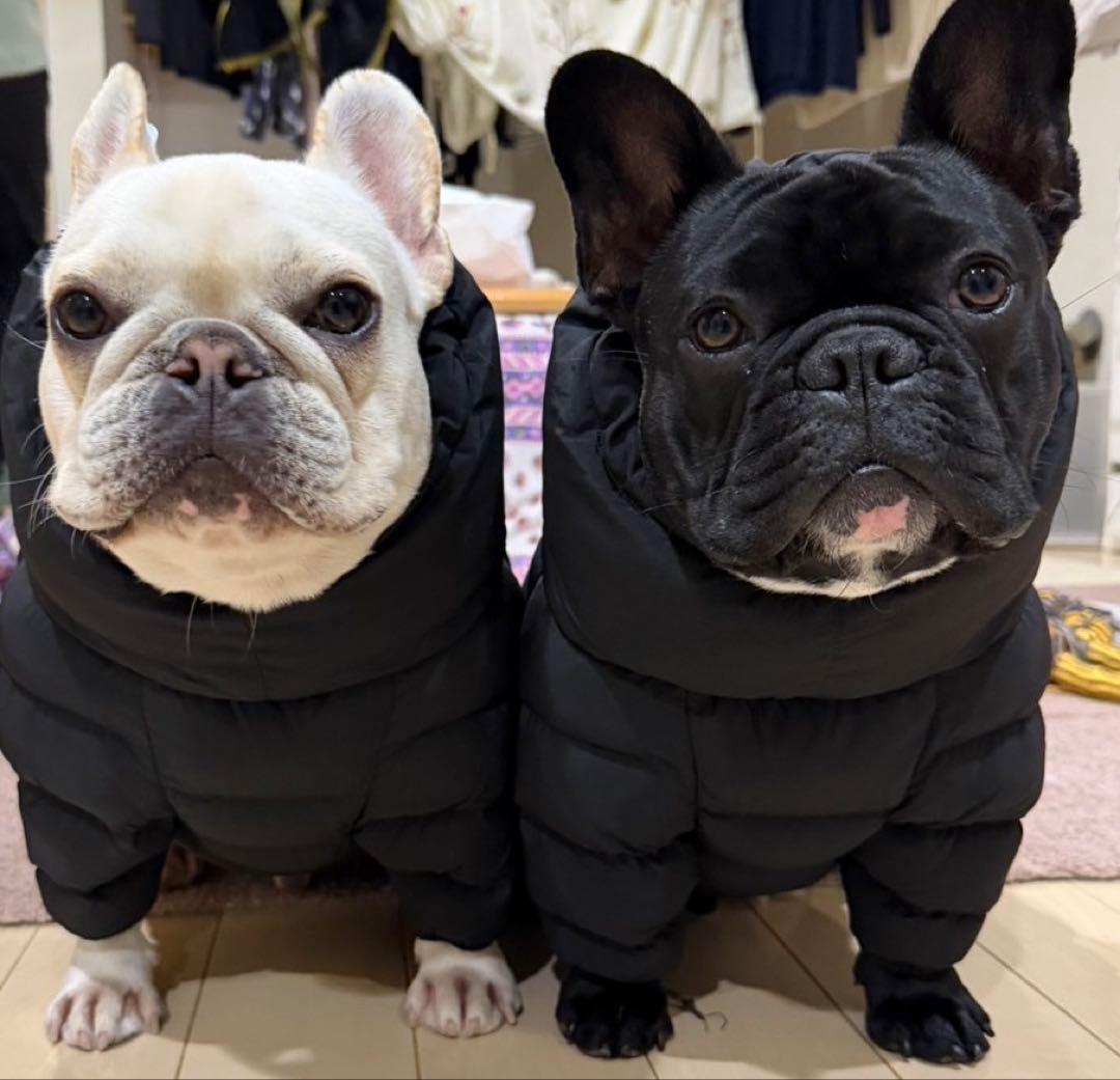 USHH フレンチブルドッグ用ダウンジャケット