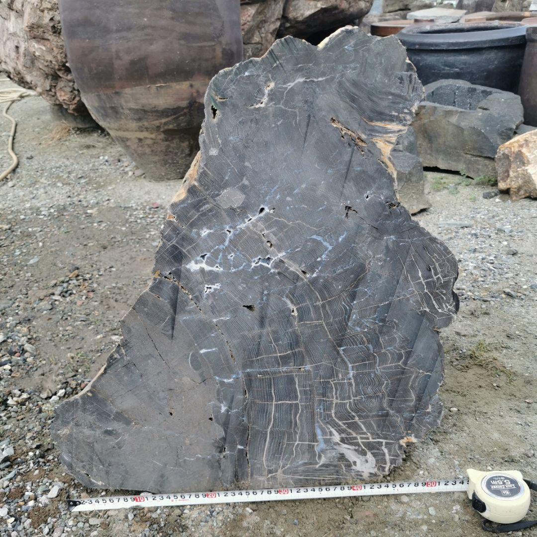 秋田産　珪化木　57キロ　木化石　庭石　鑑賞石　石　庭　ガーデニング　置物