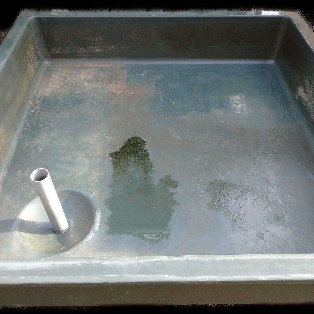 大特価‼️ 最終値下げ‼️ FRP水槽‼️引き取り限定‼️ 紅白約70cm‼️