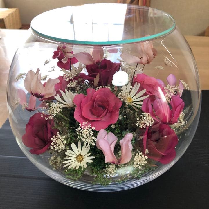 最高級レンデフロール薔薇 蘭　大サイズ