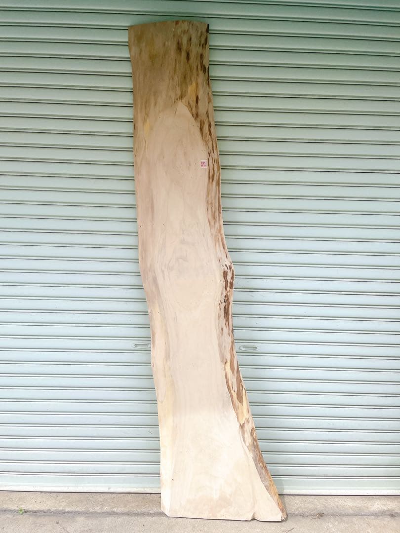 天然　イチョウ　木材　天板　テレビ台　無垢材　カウンターテーブル　一枚板　机