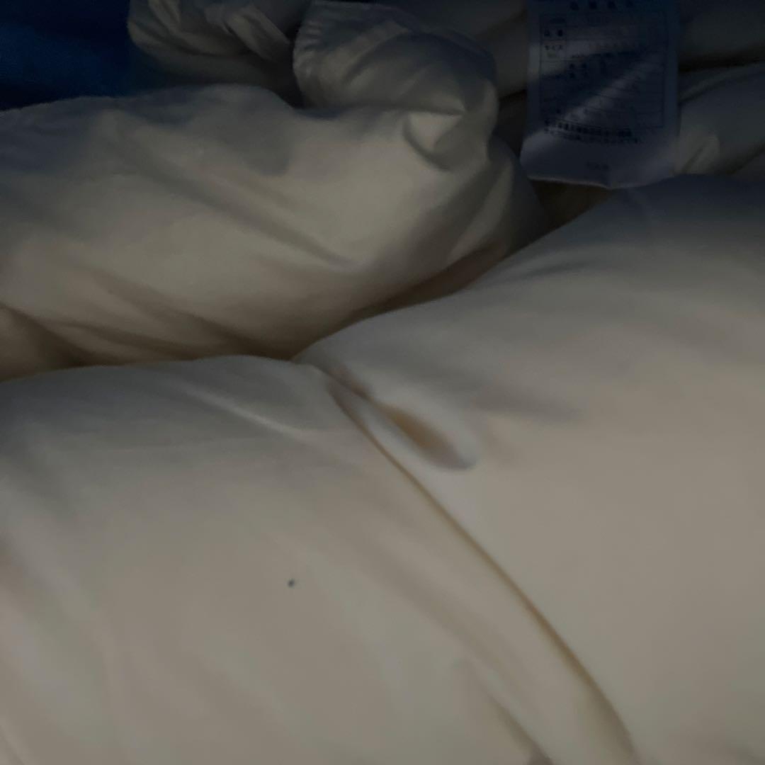 新品未使用 高級羽毛布団 シングルサイズ