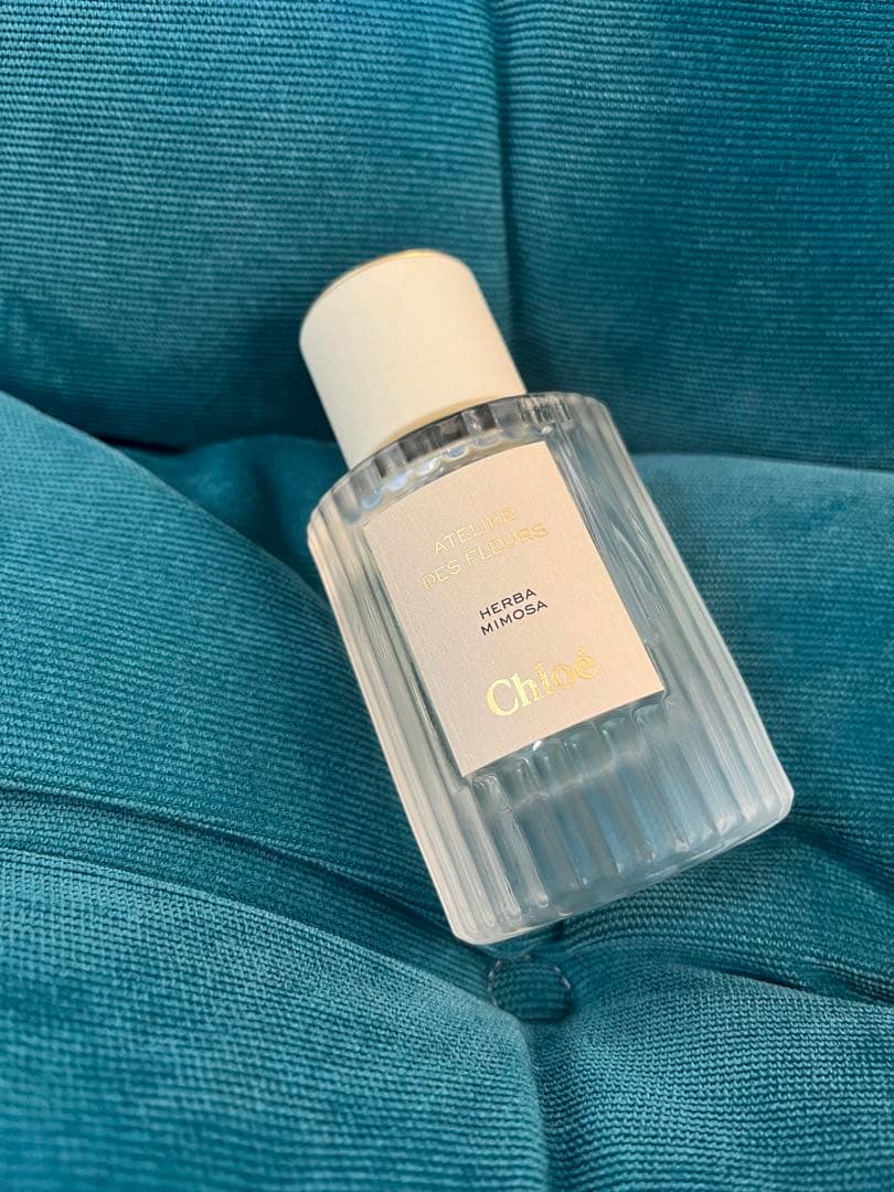 Chloé HERBA MIMOSA Atelier des Fleurs