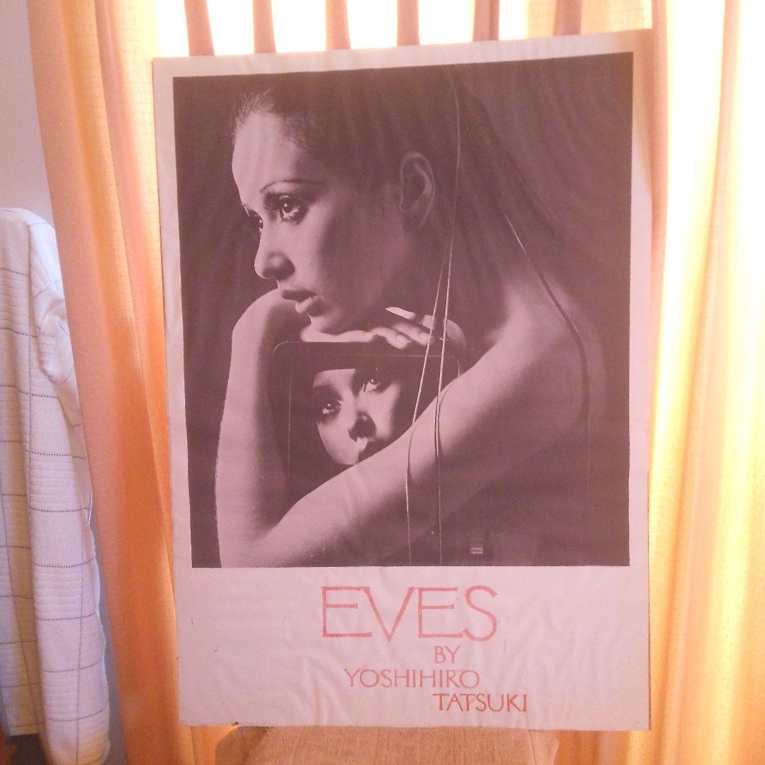 立木ヨシヒロ　大型　ポスター　本土のみ