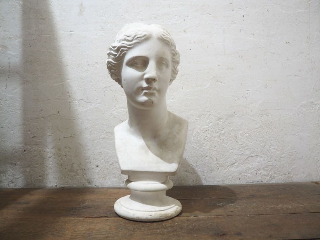 1228 石膏像　ミロのヴィーナス　胸像　オブジェ　デッサン　美術　インテリア