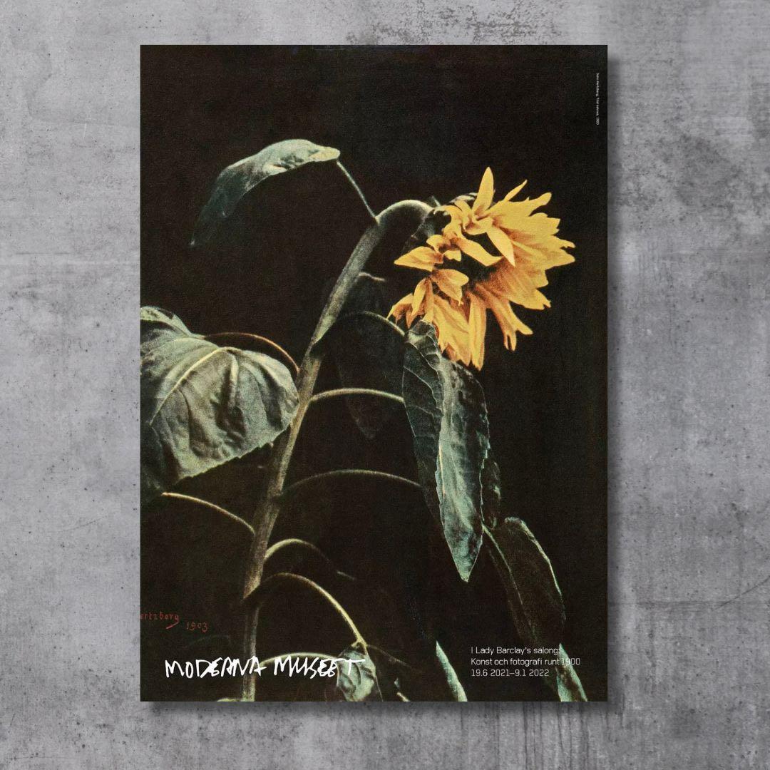 ストックホルム近代美術館限定John Hertzberg 国内未入荷希少ポスター