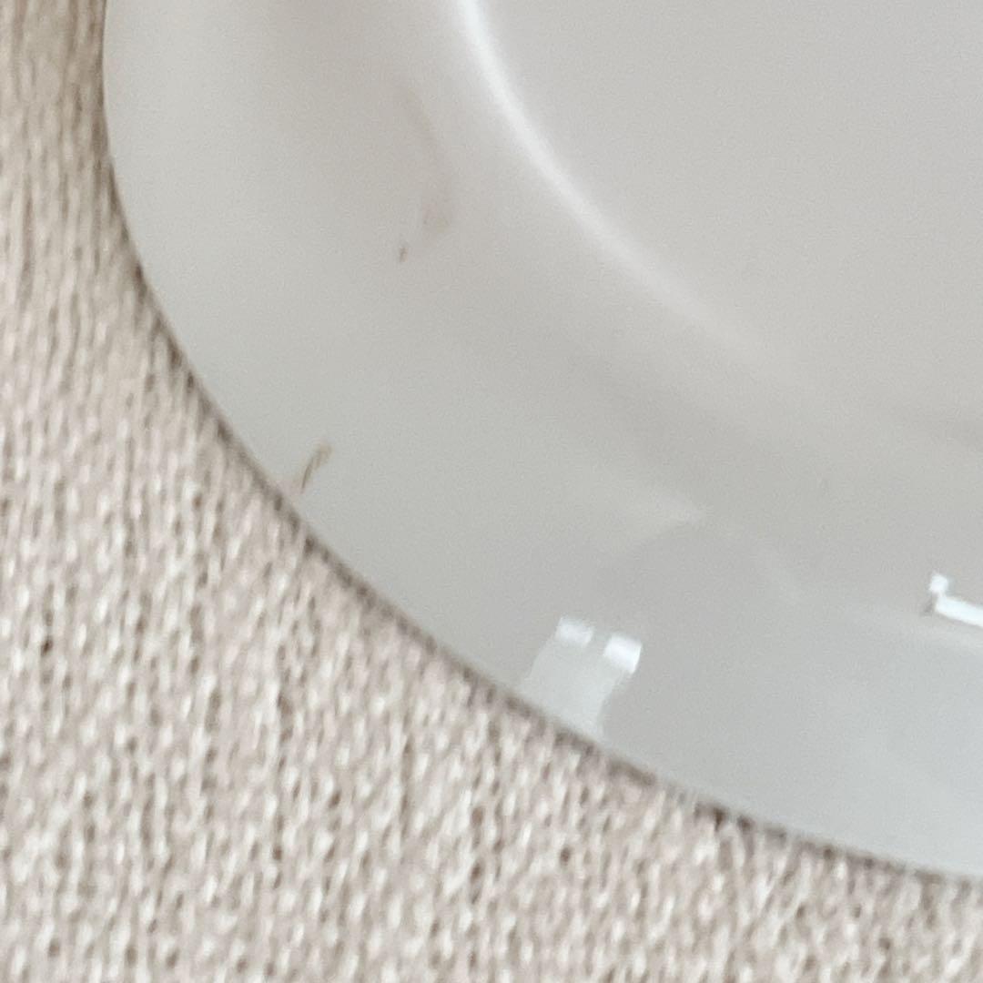 【専用ページ】ARABIA＊Pomona＊・* 2枚