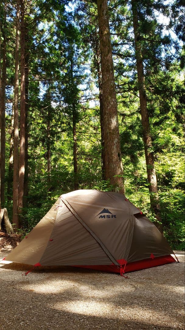 【日本正規品】グリーン MSR ELIXIR 2