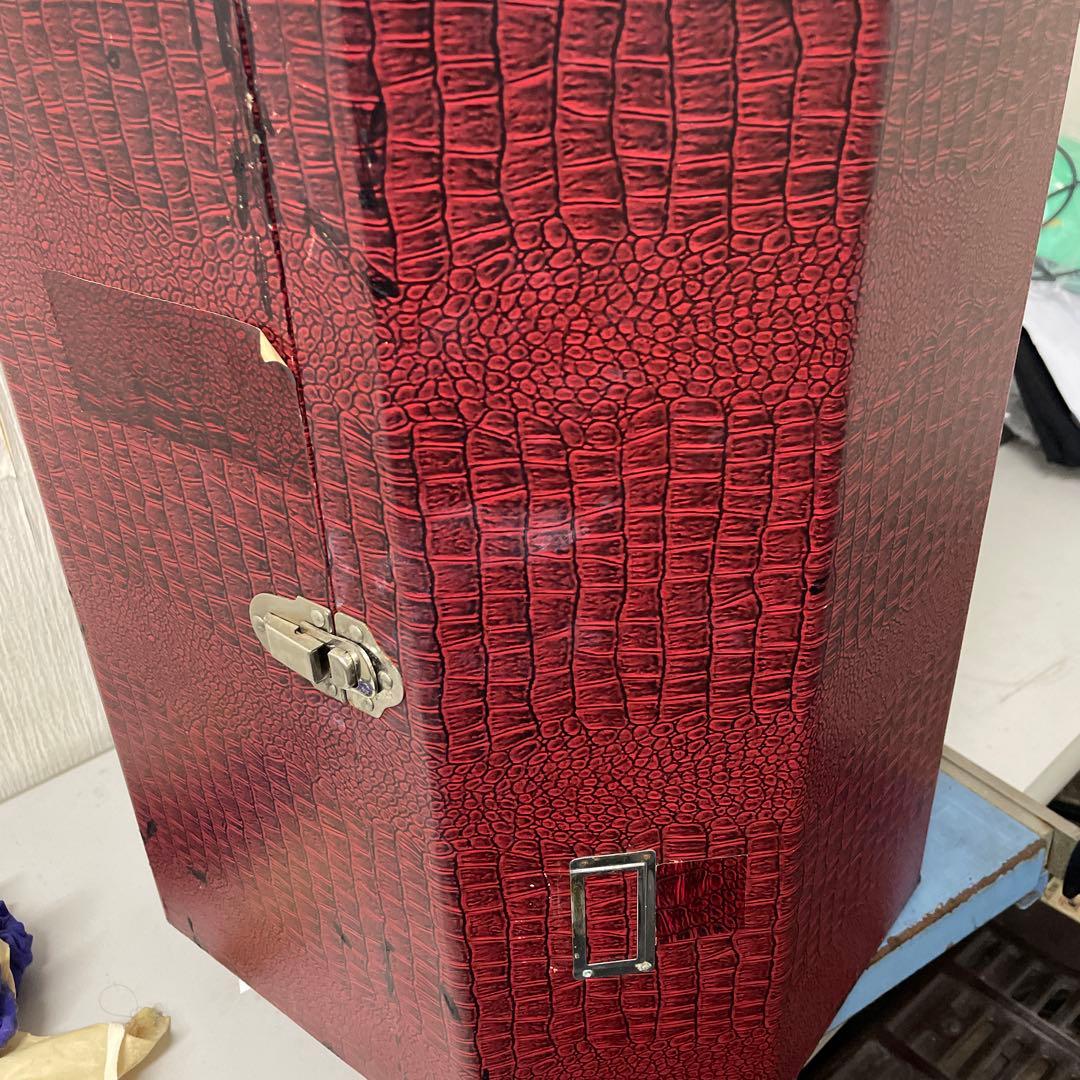 日本髪かつら　辰巳商会　大衆演劇　 ケース付 和装