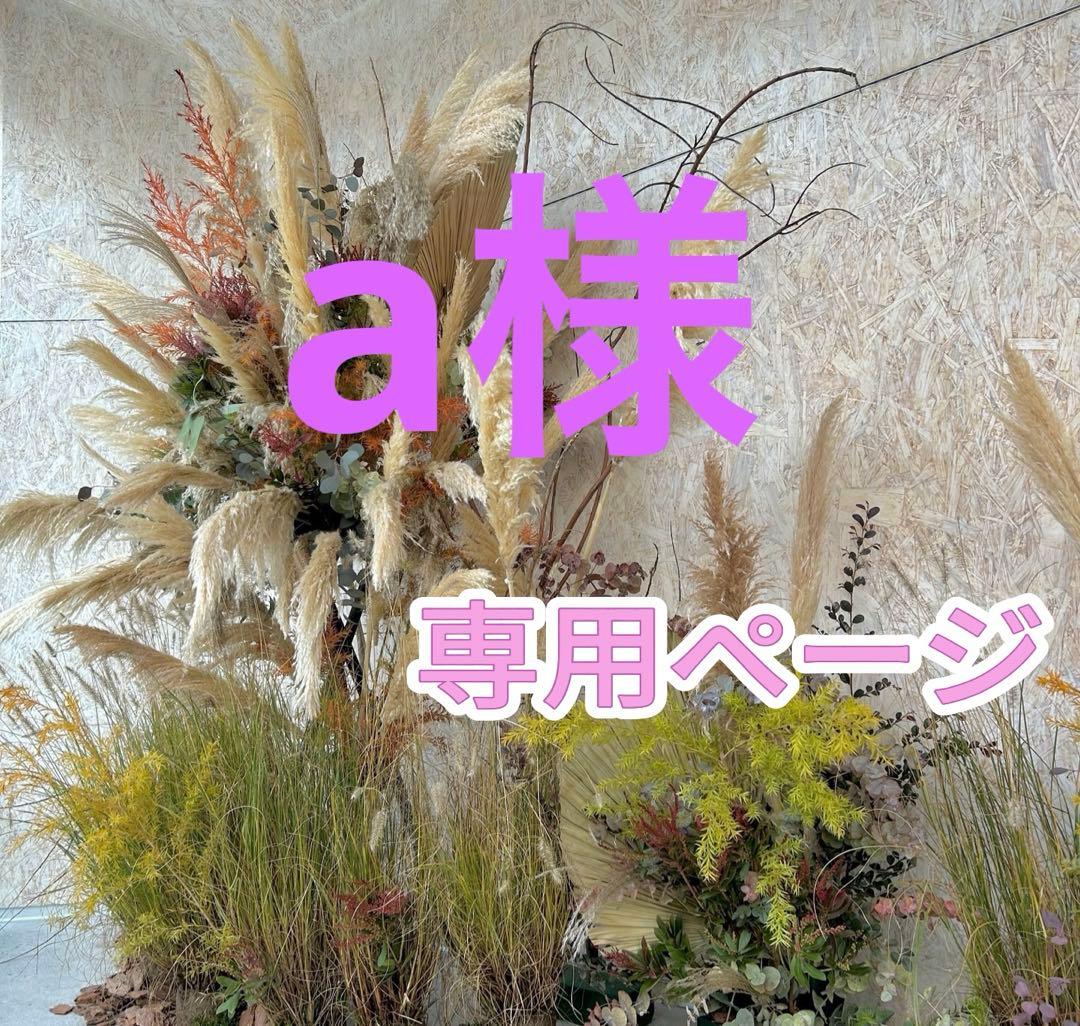 aページ