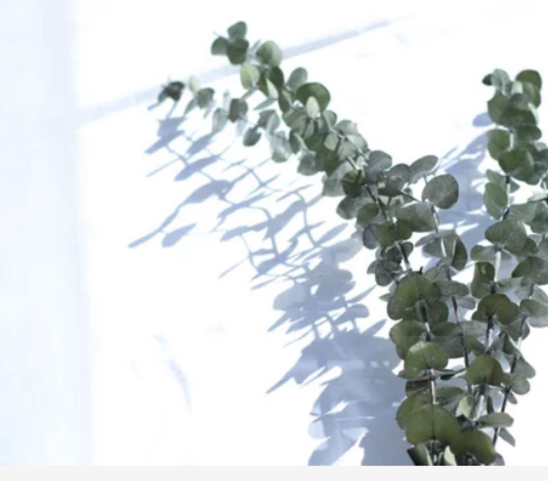 プリザーブドフラワー花材 KS