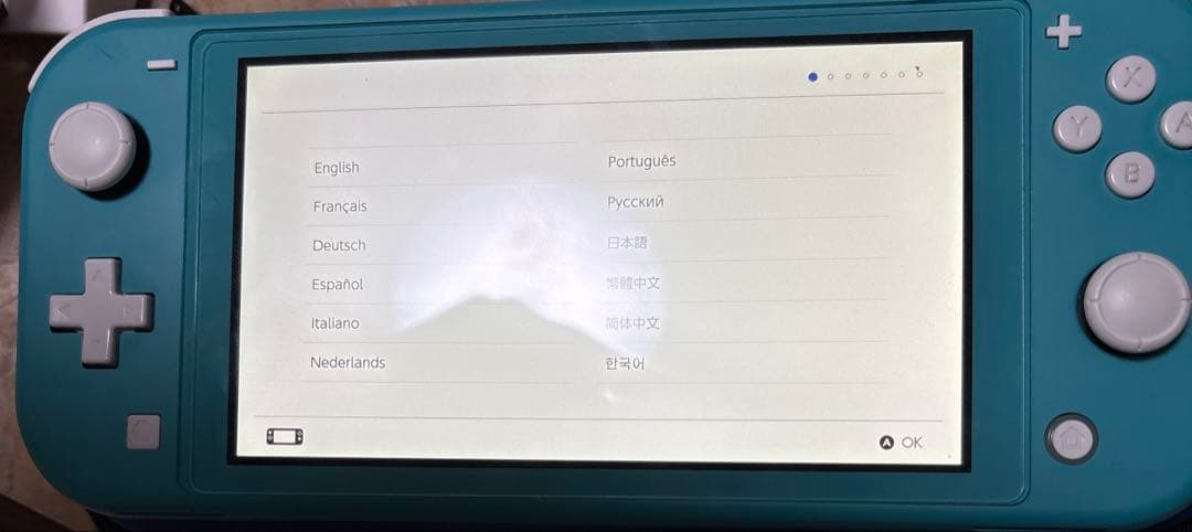 Nintendo switch light カバー付き