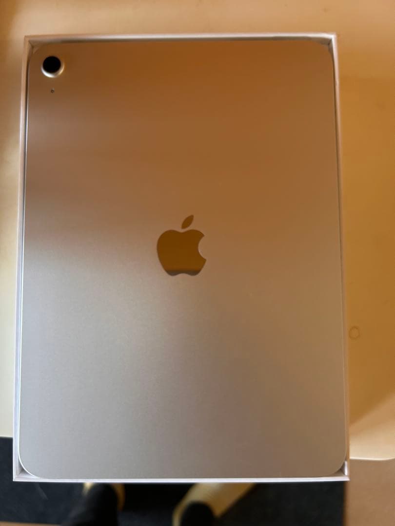 iPad本体 Apple iPad (A16) Wi-Fi 128GB