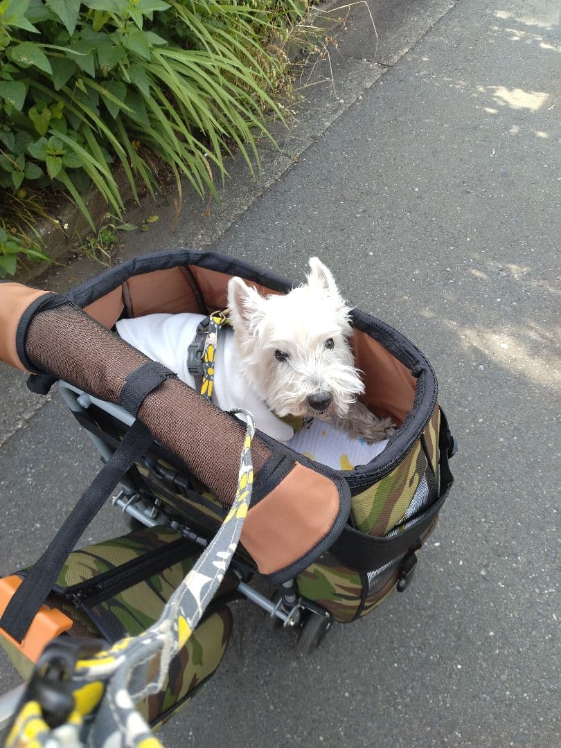 めぇ　【スイートハート】ペットカートLサイズ