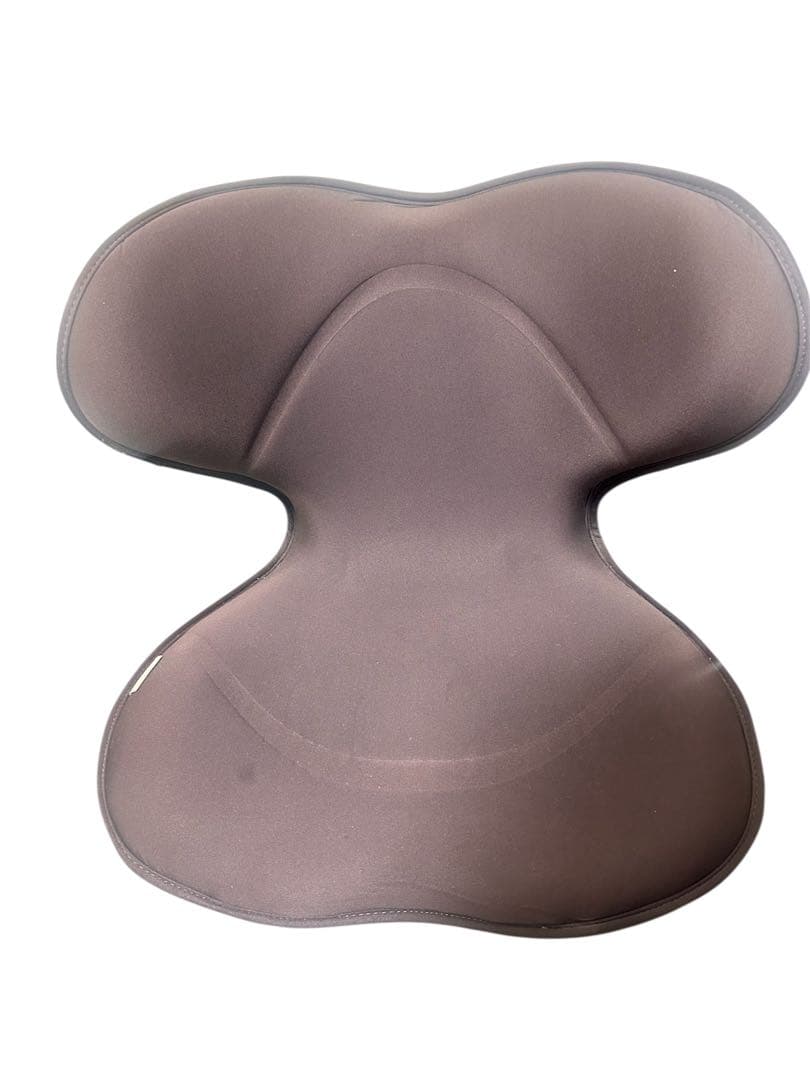 骨盤矯正 姿勢矯正 座椅子 MTG ボディメイクシート STYLE Seat