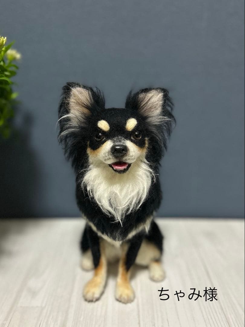 羊毛フェルトチワワ　ちゃみ様用