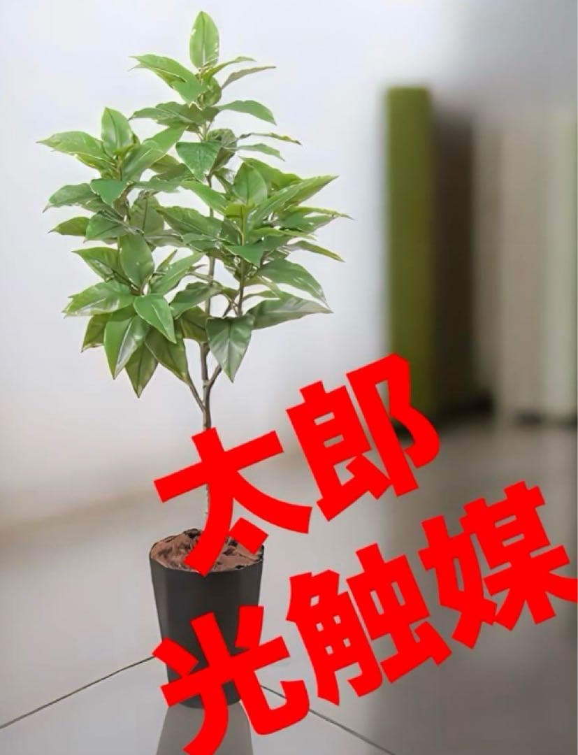光触媒　人工観葉植物　ウォールグリーン　フィカスグリーン　フィカスフロリス