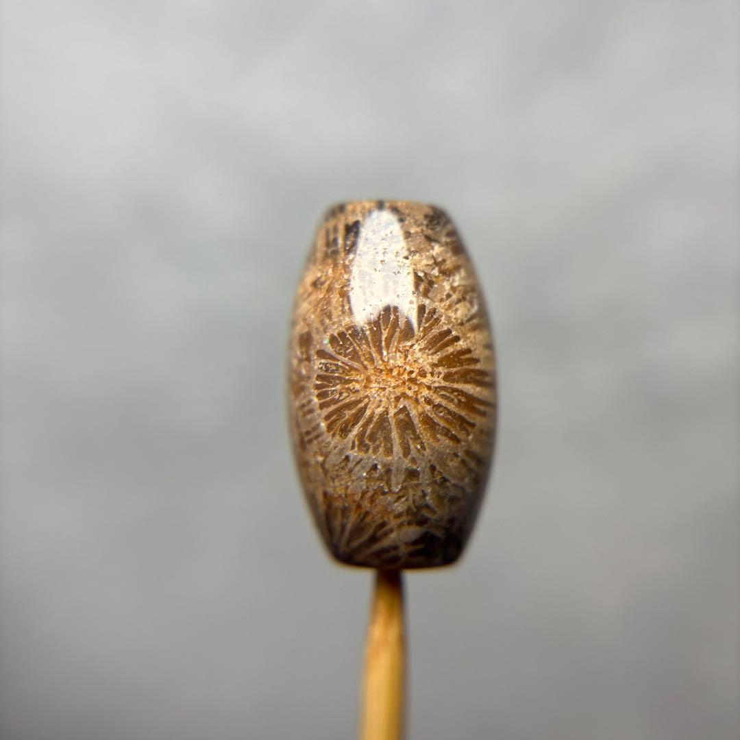 tamagoフォッシルコーラル　天珠　1-314