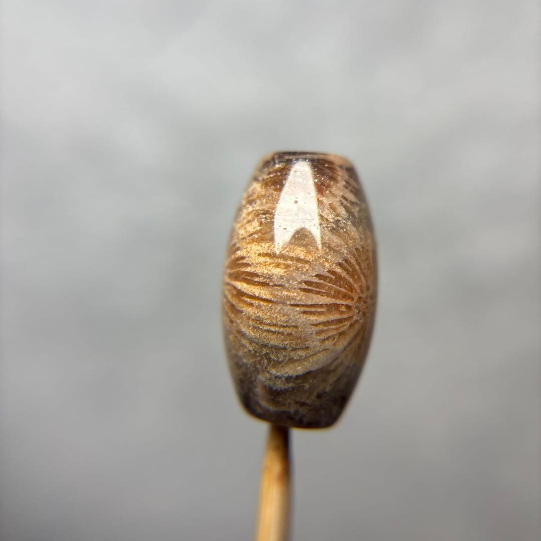 tamagoフォッシルコーラル　天珠　1-314