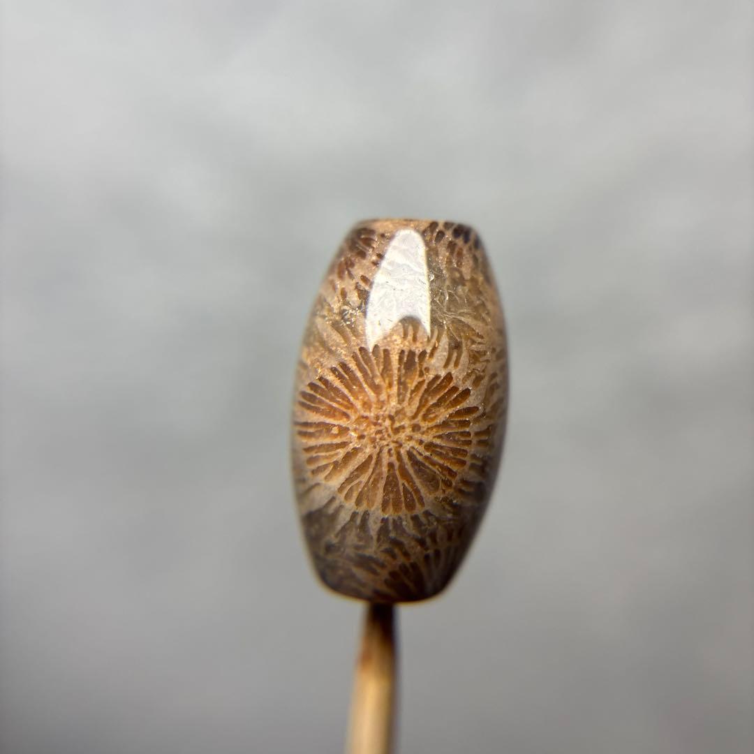 tamagoフォッシルコーラル　天珠　1-314