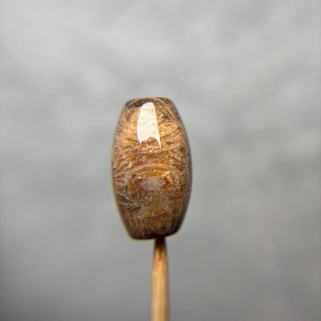 tamagoフォッシルコーラル　天珠　1-314