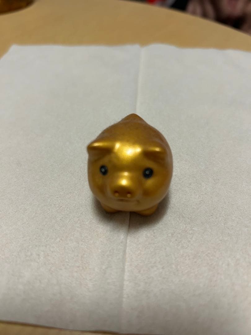 金運が訪れるブタちゃん