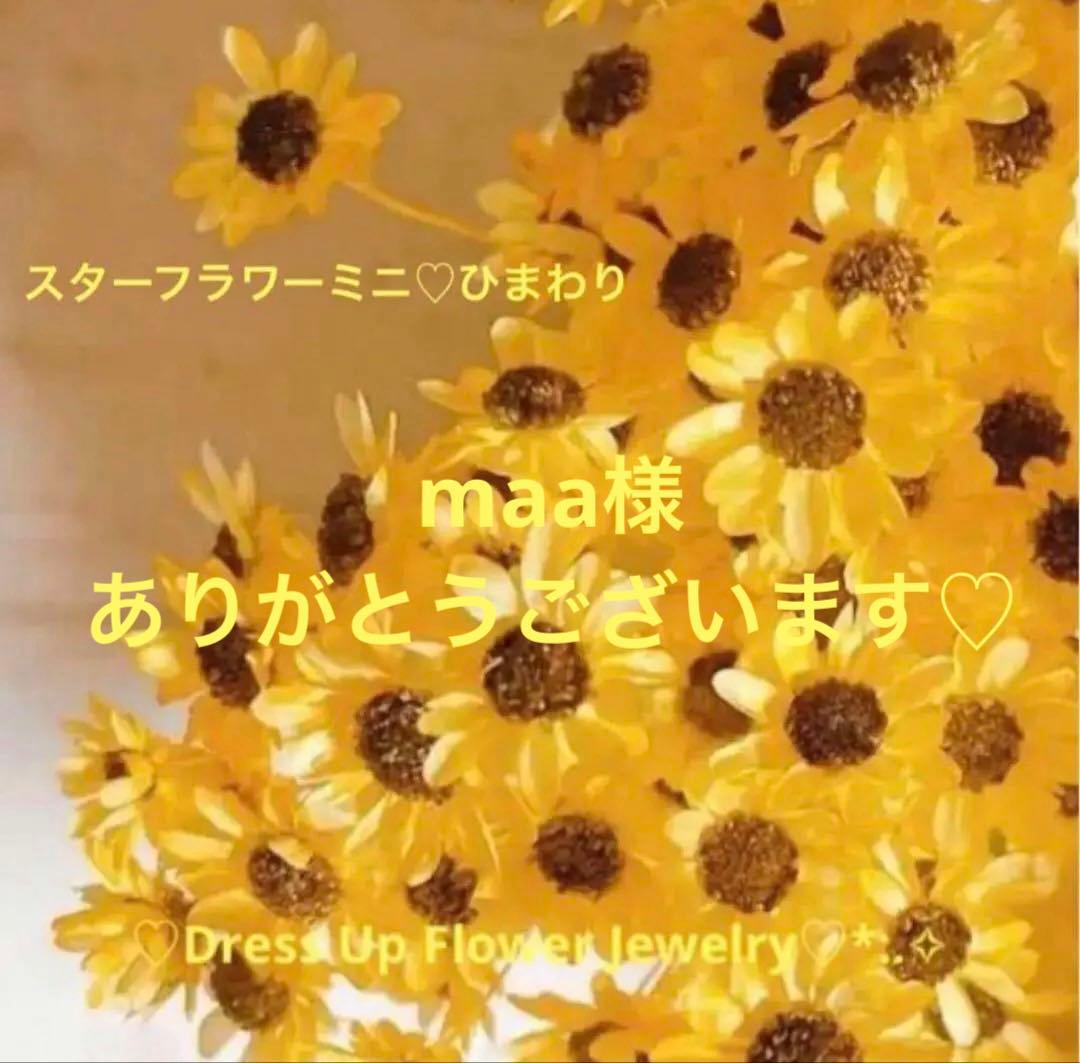 フラワー・ガーデニング maa