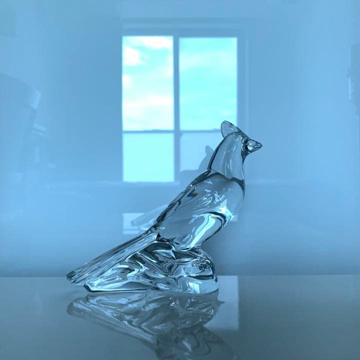 ✯ 極レア Baccarat 猩々紅冠鳥 スズメ 鳥 インコ 酉 ペット 置物✯