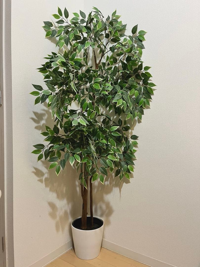 【鉢付き】FEJKA フェイカ 人工観葉植物　ベンジャミン