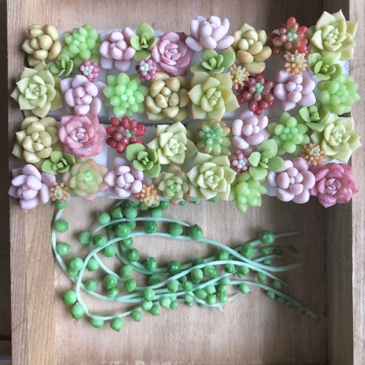 フェイク　多肉植物