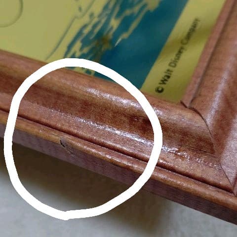 東京ディズニーランド ミッキー&ドナルド  ミラーアート フレーム入り