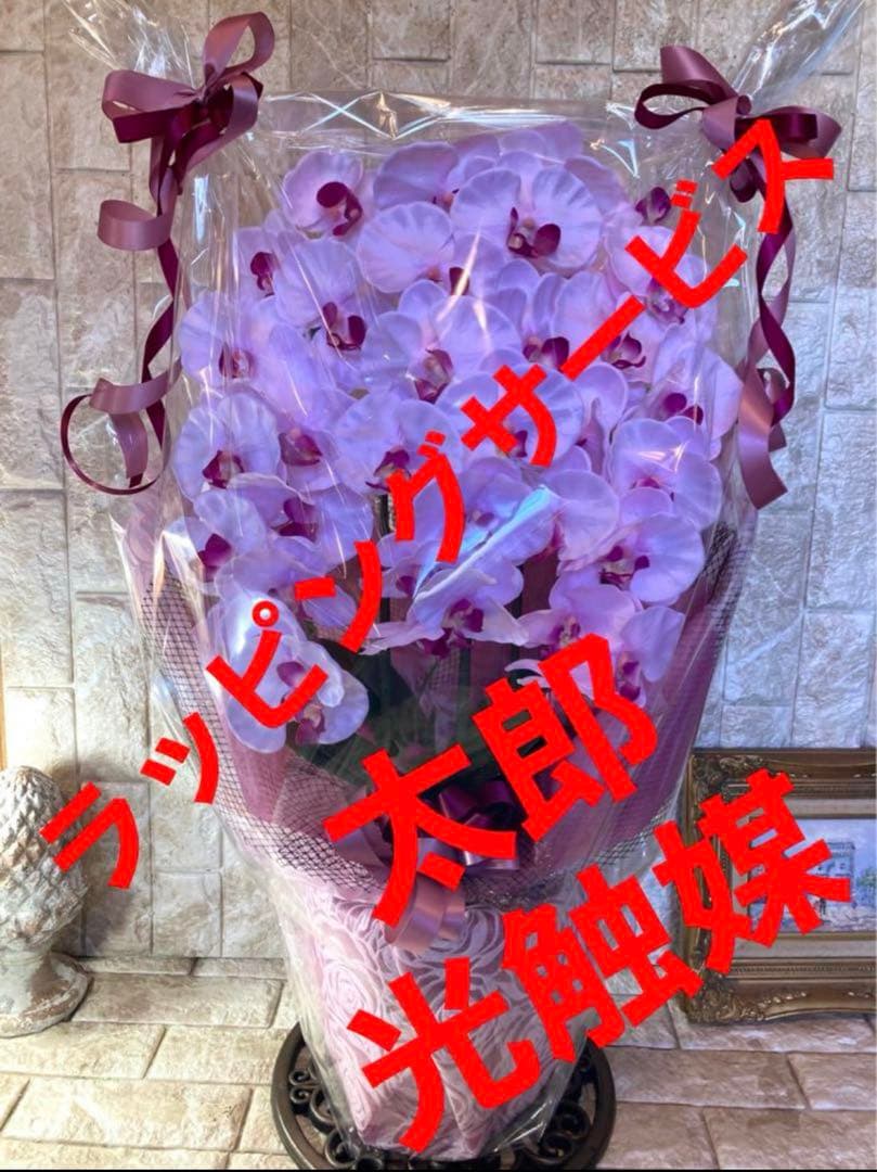 光触媒　人工観葉植物　ウォールグリーン　フェイク　胡蝶蘭大輪３Ｆ薄Ｐ784